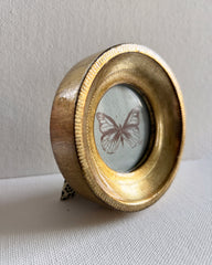 Brown Butterfly