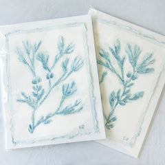 Blue Sea Kelp No. 4