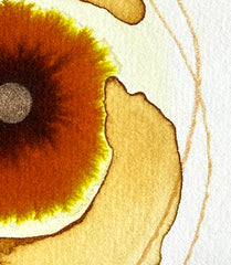 God's Eye 131
