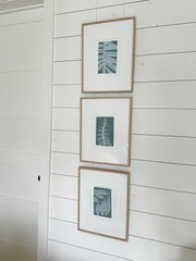 Revealed