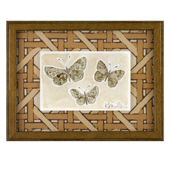 Butterflies 014