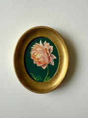 Dahlia in Peach III