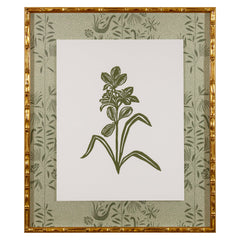 Botanical 27