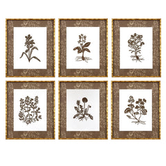 Botanical 54A
