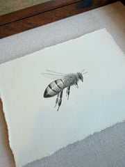 Bee 4