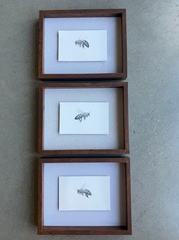 Bee 1