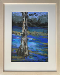 Southern Cypress