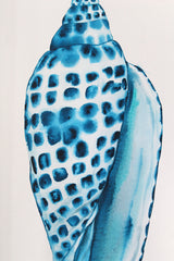 Freckled Seashell