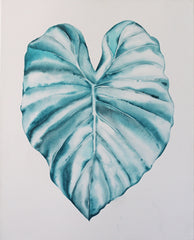 Green Philodendron