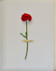 Red Flower Study