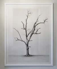 Hunting Island Tree V