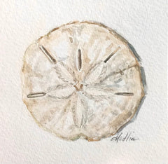 Sand Dollar II