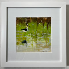 Shorebird