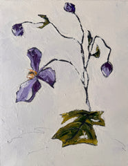 Anemone Study