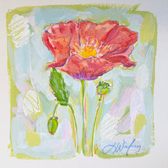 August Poppy