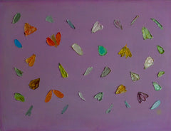 Butterfly Season