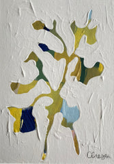 Yellow Sweetpea