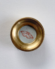 Conté Buttefly