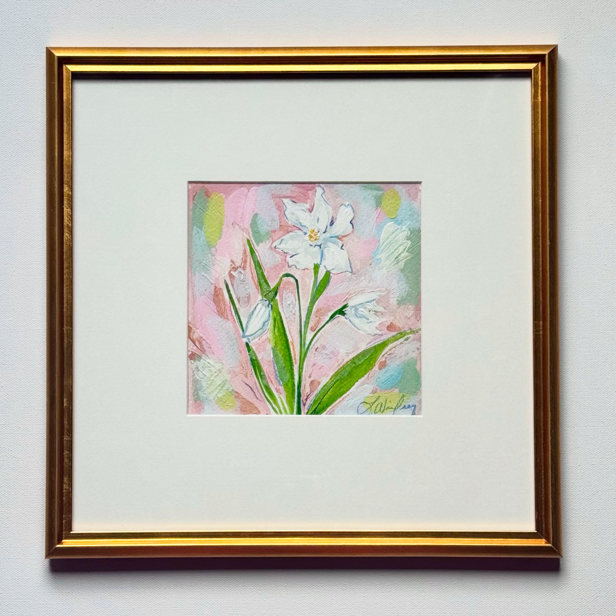 December Narcissus