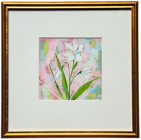 December Narcissus