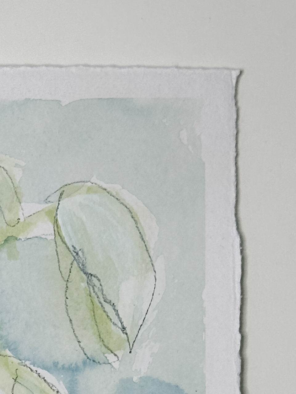 Wild Orchid No. 5