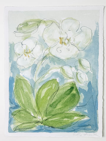 Wild Orchid No. 6