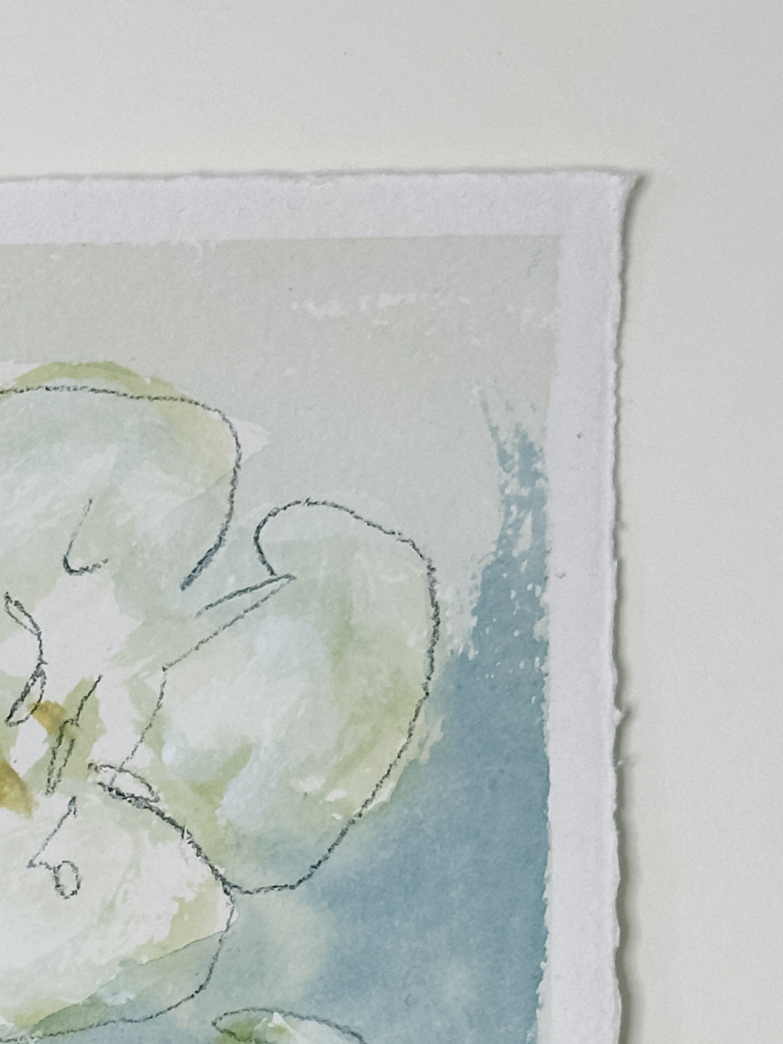 Wild Orchid No. 6