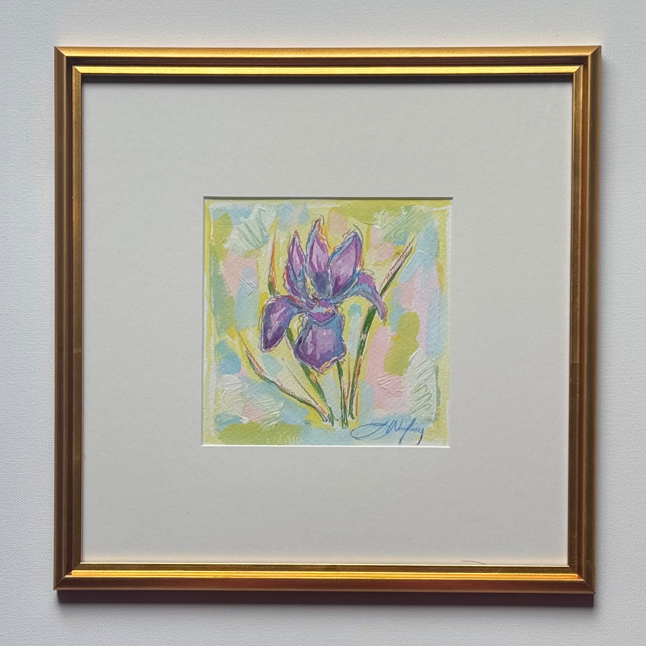 February Iris