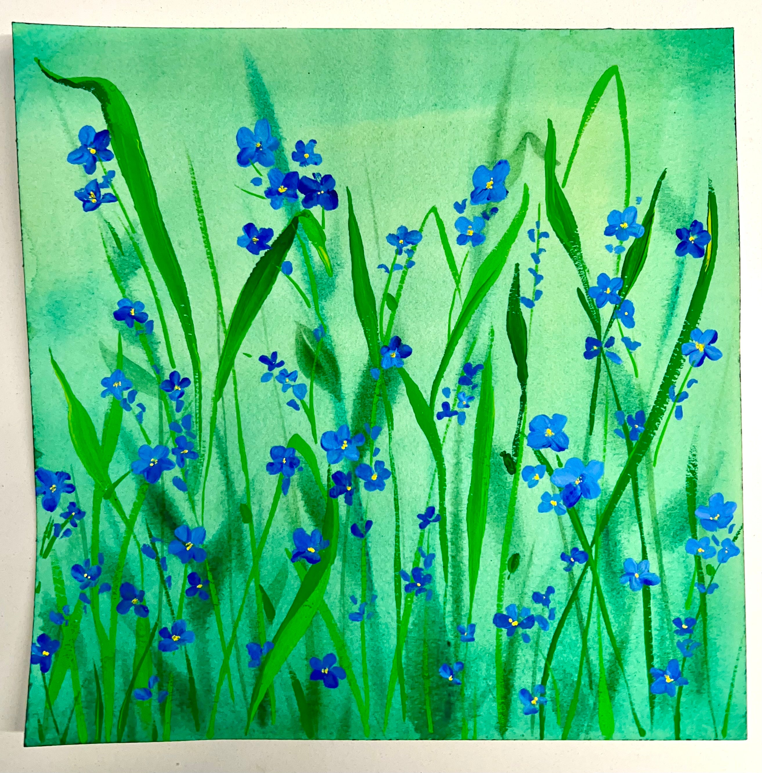 Forget Me Nots