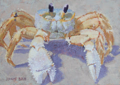 Ghost Crab II