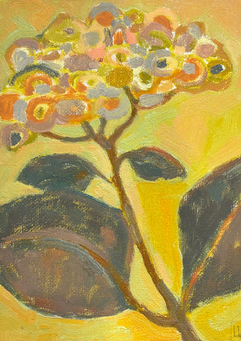 Magnolia Blossom I