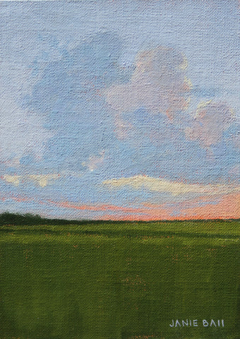 Spartina Sunset