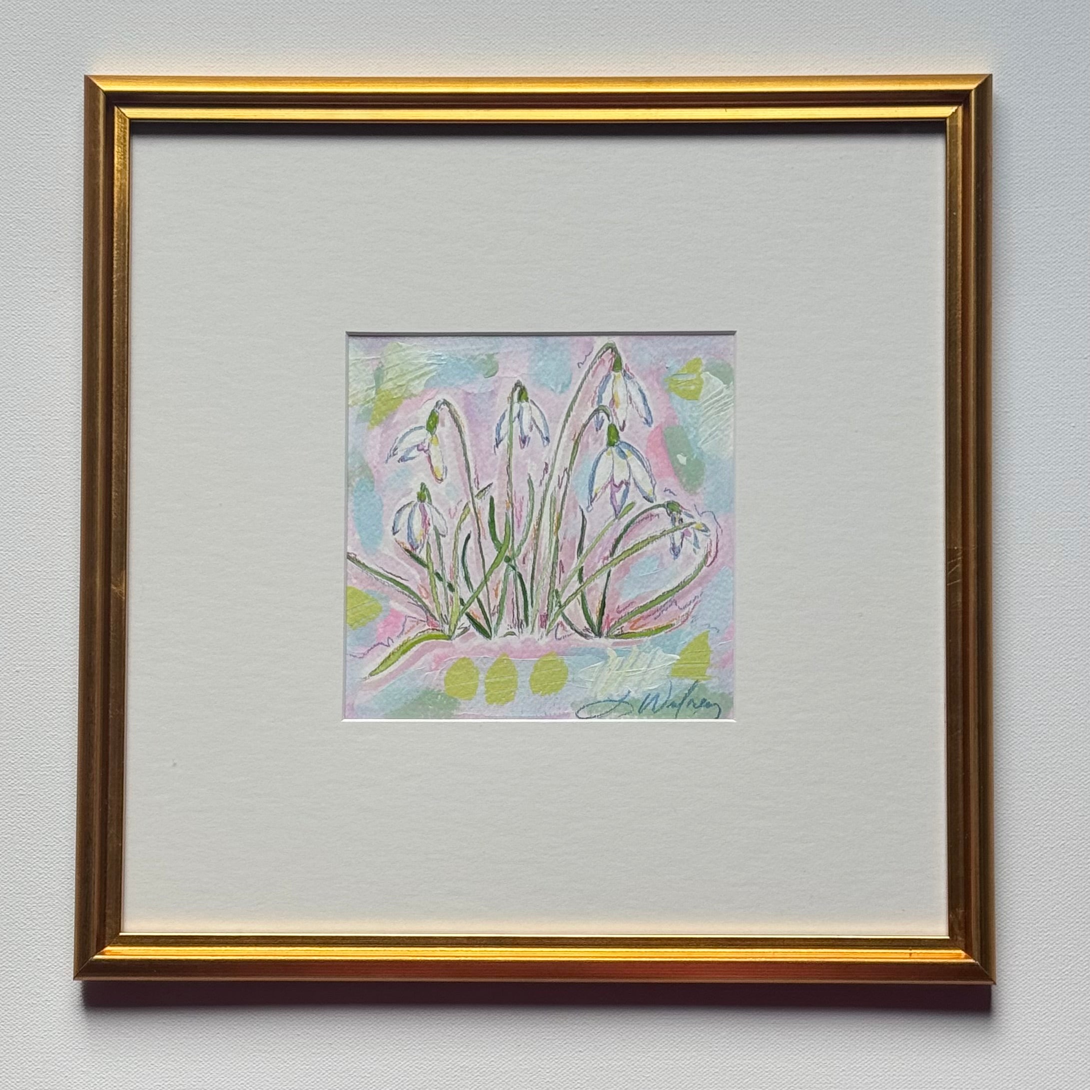 January Snowdrop