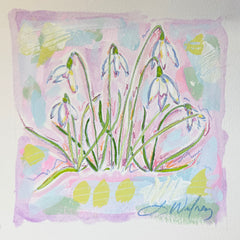 January Snowdrop