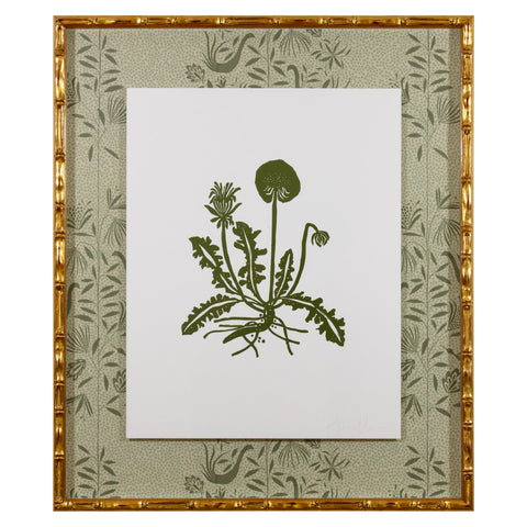 Botanical 52
