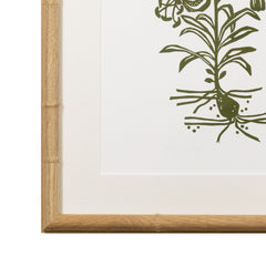 Botanical 66