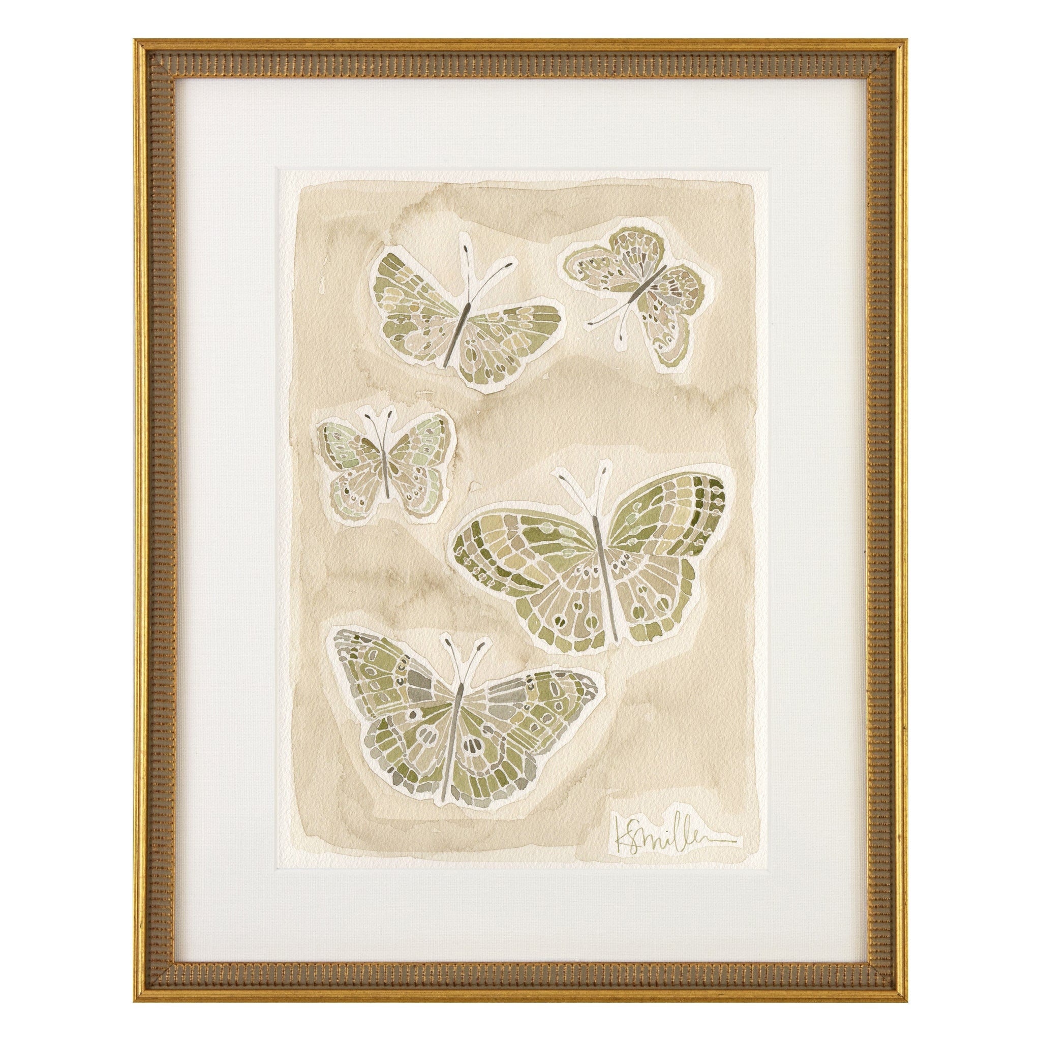 Butterflies 015