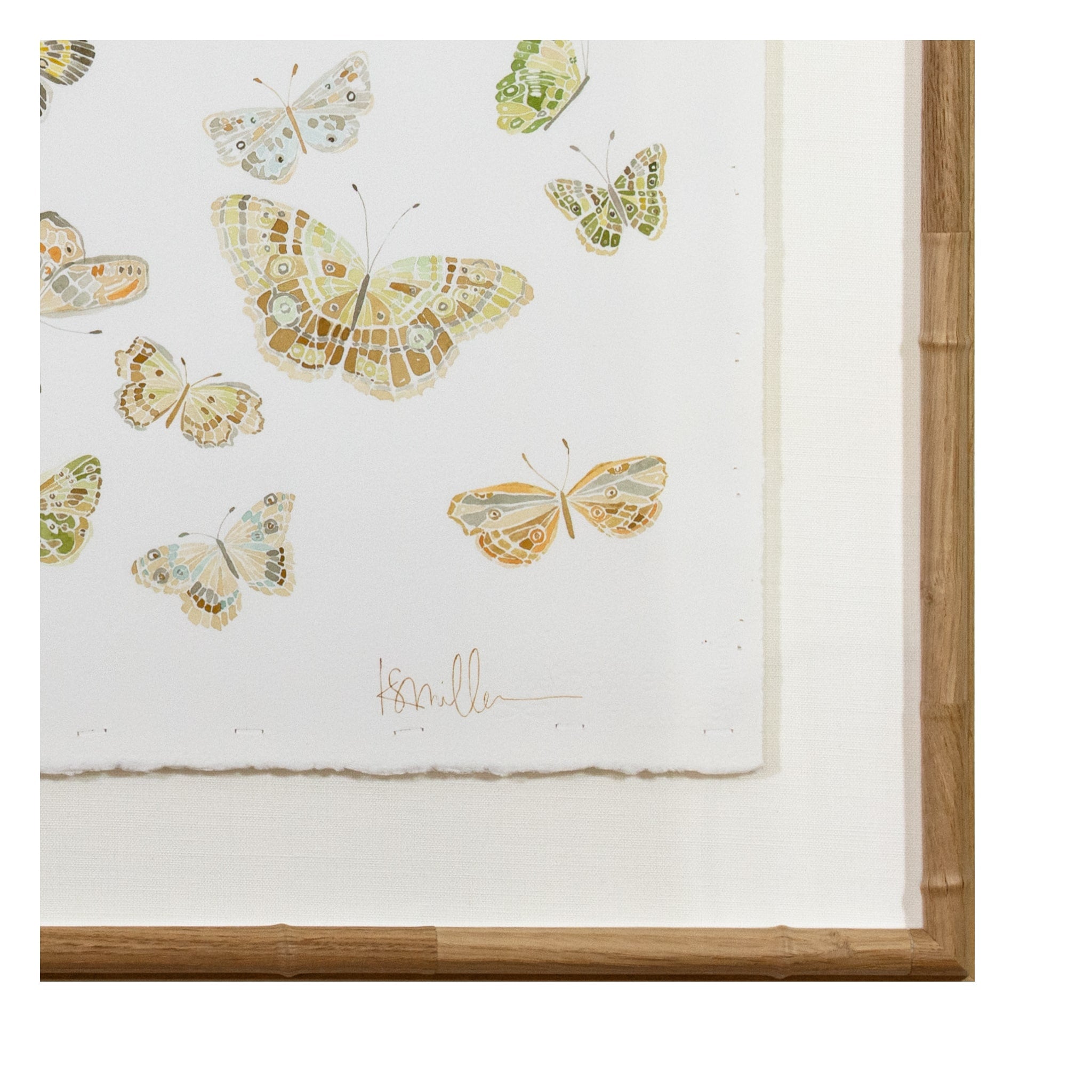 Butterflies 01