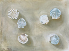 Shallow Waters