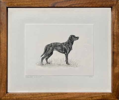 Lab
