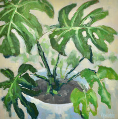Monstera