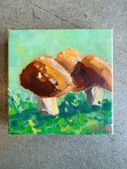 Mushrooms 1