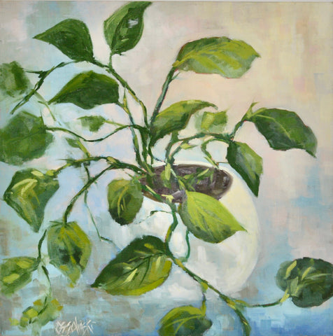 Philodendron