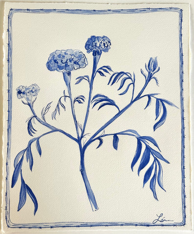 Blue Marigold