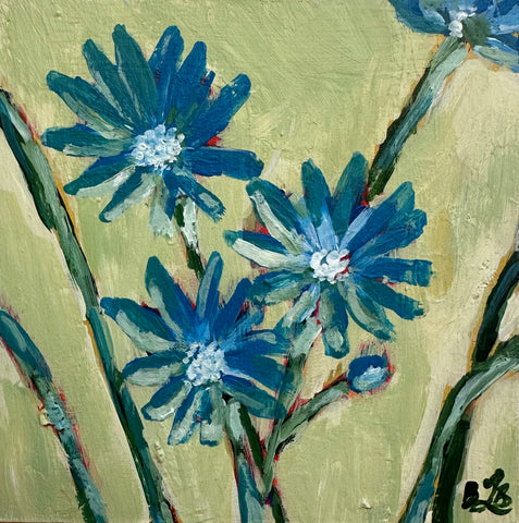 Chicory