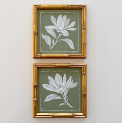 Magnolia II