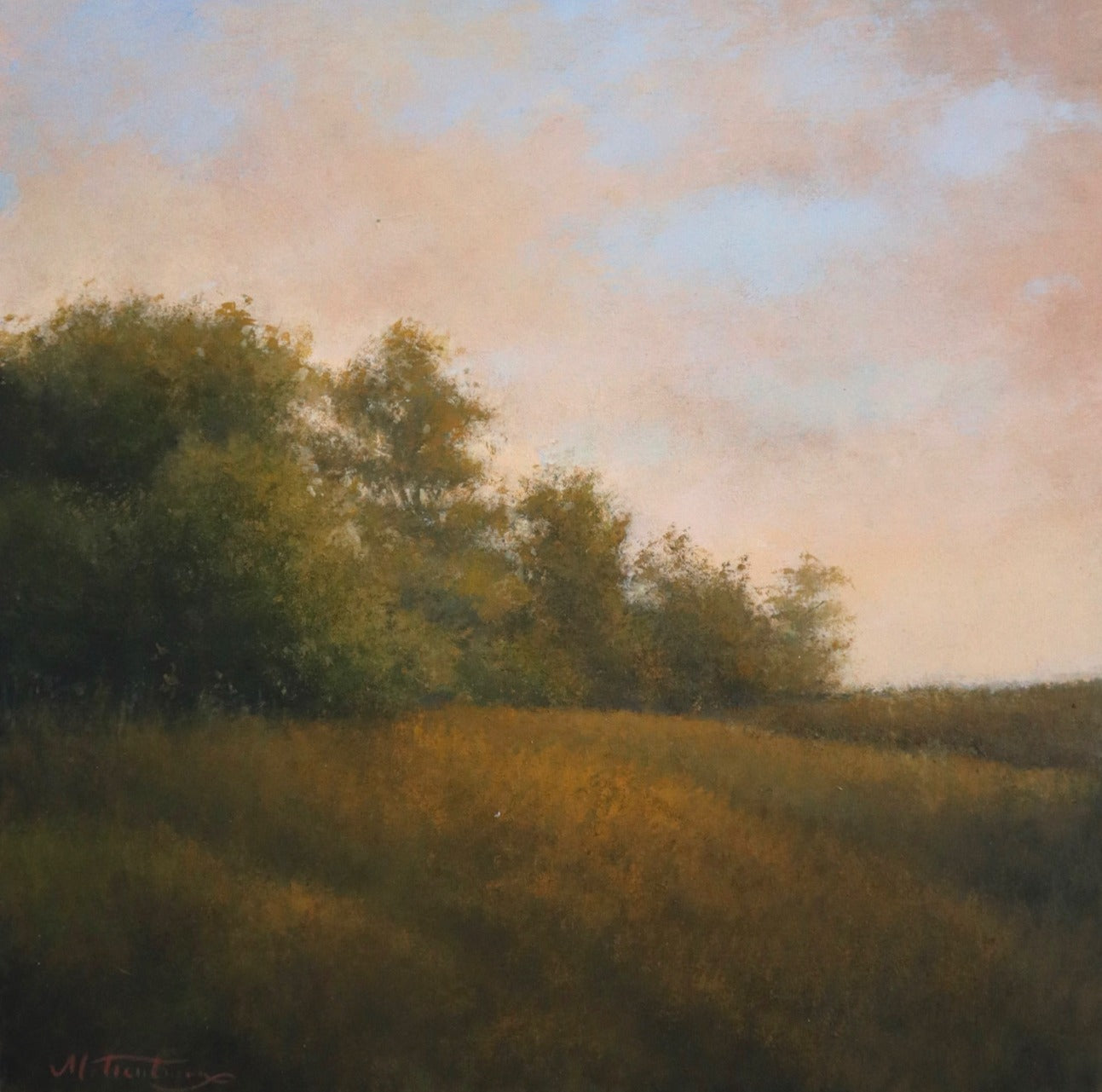 Orange Colored Sky