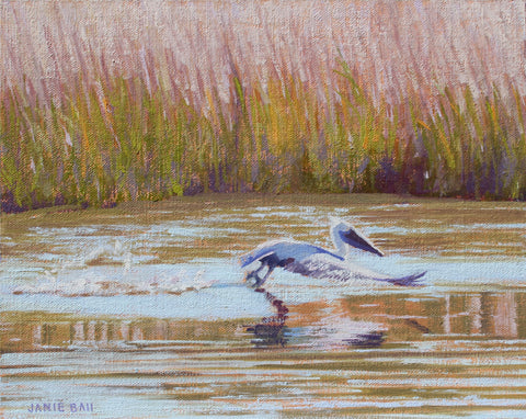 Pelican Glide