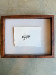 Bee 4