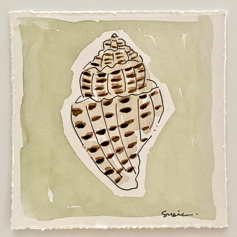 Mini Shell No. 1